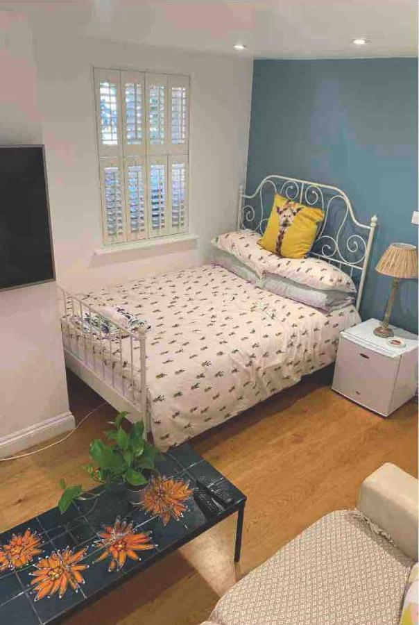 Stylish Modern Studio, Mock Georgian House, Heart Of Trendy Hackney & Londres Extérieur photo